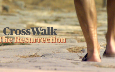 CrossWalk: The Resurrection