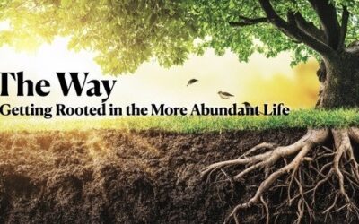 The Way: Getting Rooted in the More abundant Life